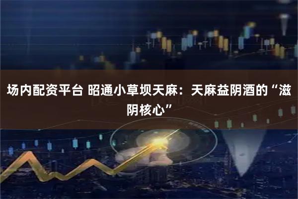 场内配资平台 昭通小草坝天麻：天麻益阴酒的“滋阴核心”